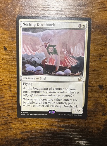 Nesting dovehawk commander - dovehawk,