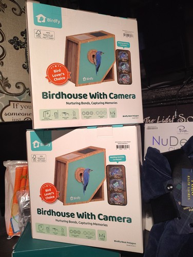 Birdfy smart bird - smart,