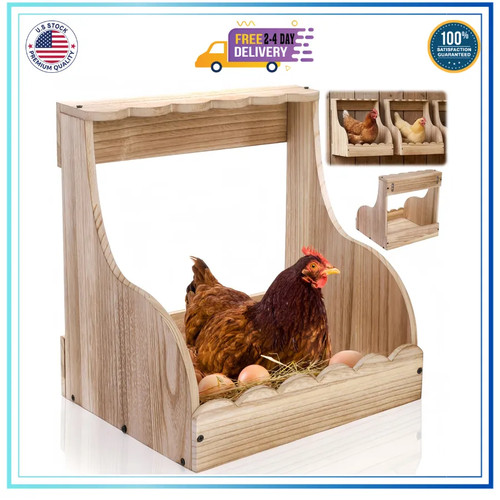 Tlence wood chicken nesting - chicken,
