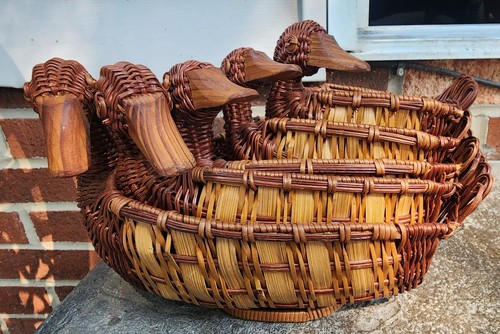 Vintage nesting duck swans - nesting,